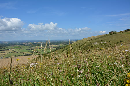 Panorama, weide, Outlook, Engeland, natuur, landschap, wandelen