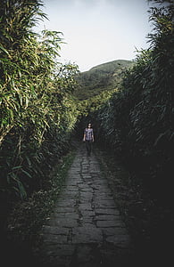 natureza, Chinês, vegetação, colinas, escondido, caminho, comprimento total