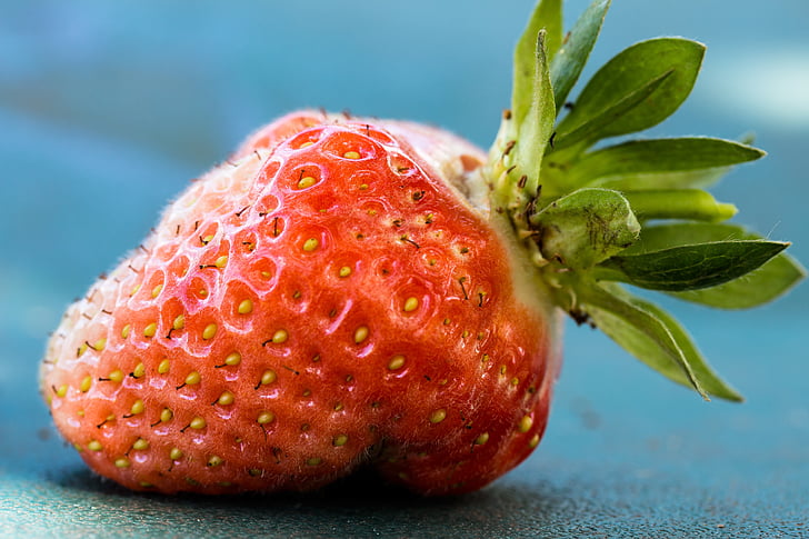 jordgubbe, trädgård, frukt, Berry, vitaminer, makro, röd