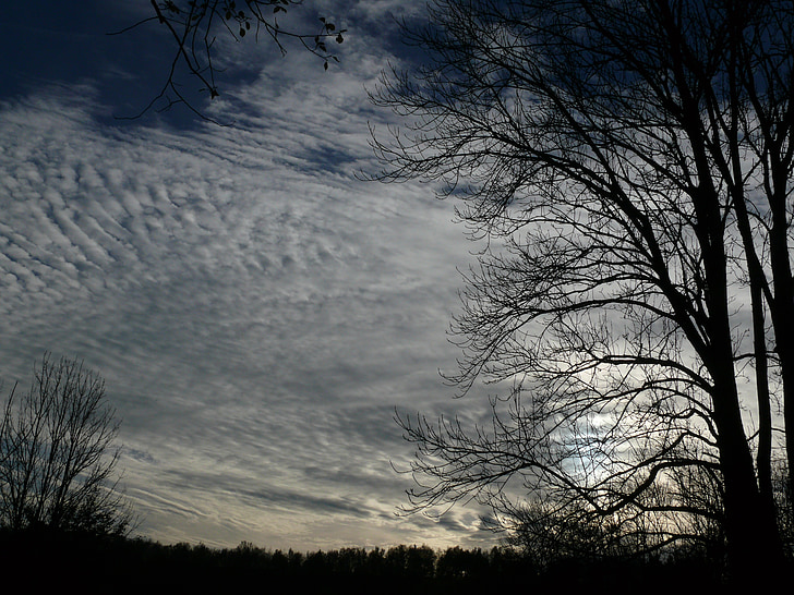 sky, clouds, cloud formation, back light, tree