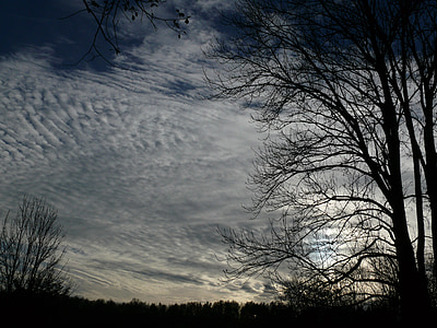 cielo, nuvole, Formazione di nubi, luce posteriore, albero