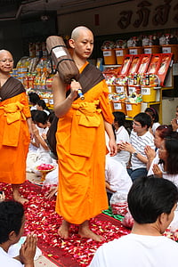 mních, budhisti mních, chôdze, okvetné lístky ruží, Thajsko, Wat, Phra dhammakaya