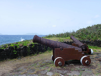 canons, defensa de la mar, Guadalupe, illa, militar, fort, arma