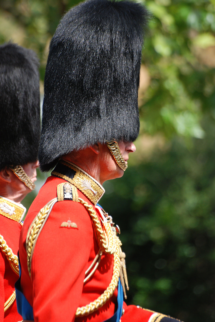 man, guard, uniform, red, welsh guard, bearskin, ceremonial