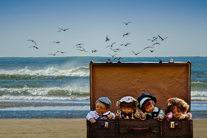 bagage, dockor, stranden, måsar, barn, Söt, resor