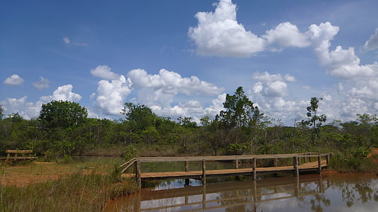 Bridge, Park, nationale, Agua, søen, Brasilien, natur