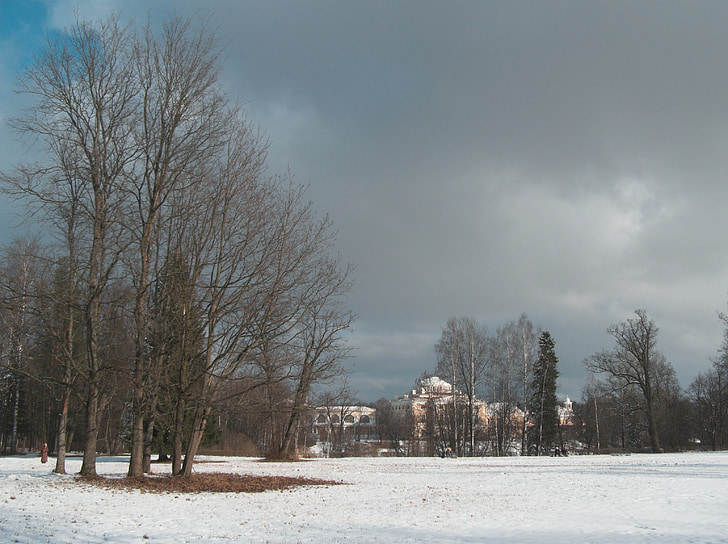 небо, парк, Архітектура, дерева, Весна, сніг, взимку