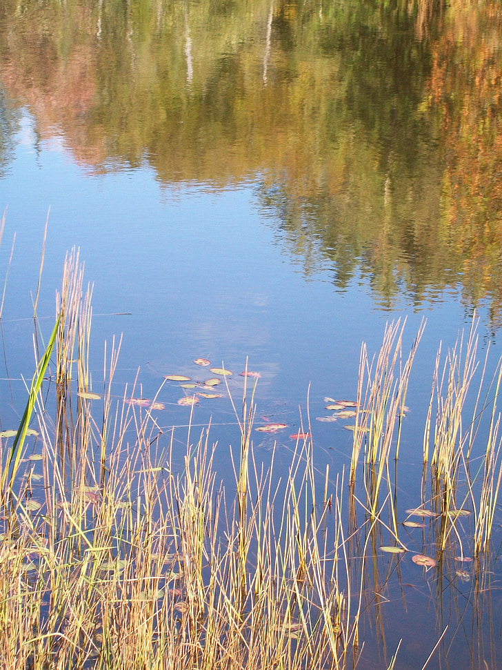 jezero, odraz, jesen, vode, priroda, krajolik, miran