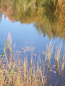 Lago, reflexión, otoño, agua, naturaleza, paisaje, pacífica