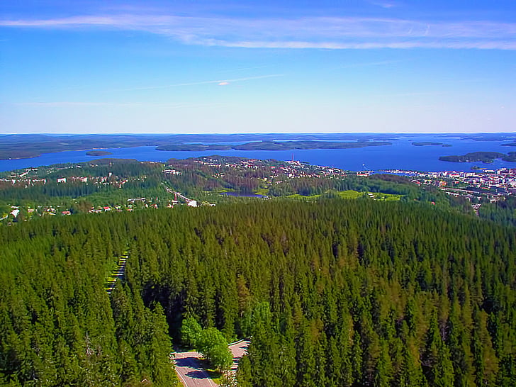 nézet, erdő, fák, város, tó, Kuopio, Kuopio
