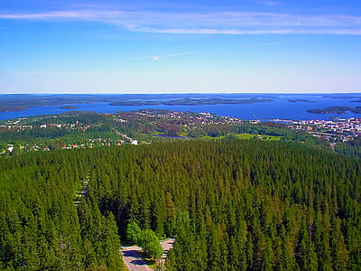 veure, bosc, arbres, ciutat, Llac, puijo, Kuopio