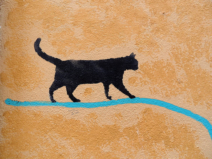 katten, vegg, Padova, Graffiti, artist