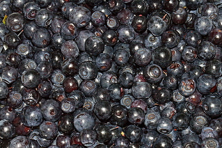 Blueberry, owoce, dziki, świeży, zdrowe, słodkie, organiczne