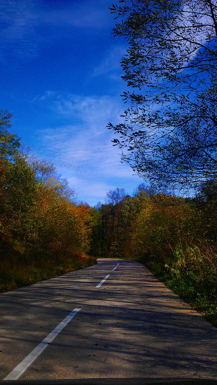 autumn, jesen, auto, road, car, nature, clean