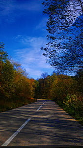 秋, ハリス, 自動, 道路, 車, 自然, きれい