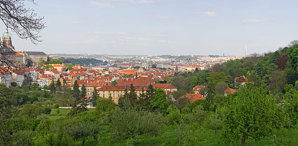 Prague, Panorama, vistas panorâmicas, natureza, Europa, verdes, Verão