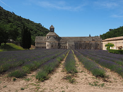 Abbaye de senanque, kloster, Abbey, Notre dame de sénanque, rækkefølgen af cistercienserne, Gordes, Vaucluse