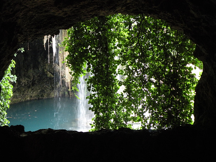 cave, waterfall, plant, water
