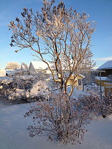 Uppsala, l'hivern, Suècia, neu, fred, gel, blanc