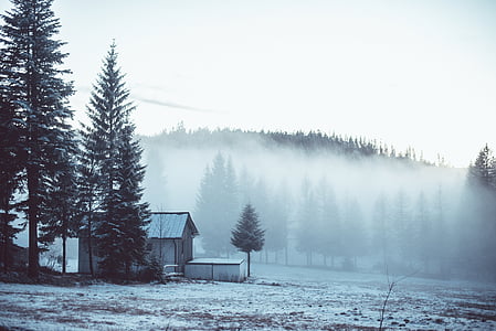 cold, countryside, fog, landscape, rural, shed, shelter