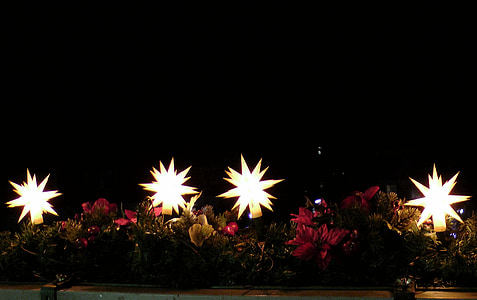Mikulásvirág, fény, Karácsony, Dísz