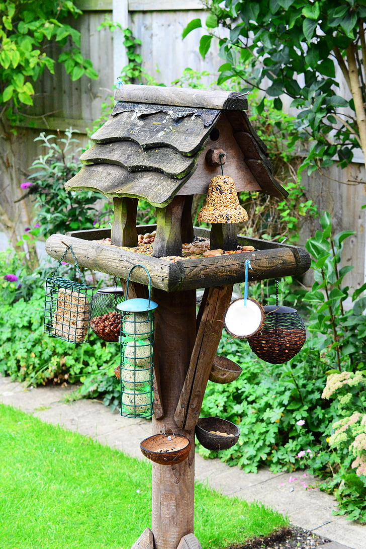 bird table, feeding station, bird food, garden, feeder, perch, bird house