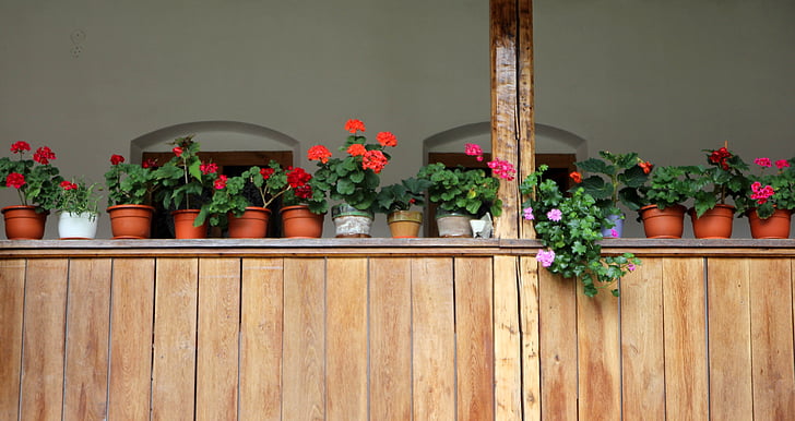 gėlės, puodai, langas, kaimiško stiliaus, išdėstymas, Vazonas, gėlė