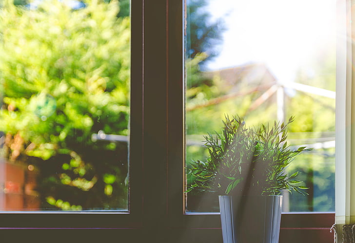 roheline, lehed, taim, vaas, kõrval, Casement, akna