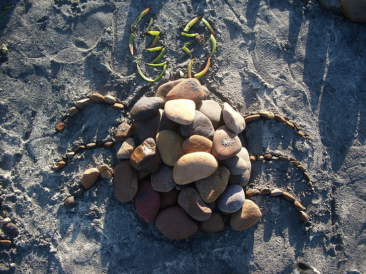 stones, bug, figure, beach, sand, nature