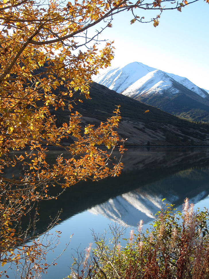 jeseni, Alaska, odsev, gorskih, jezero, snowcapped, vrh lake