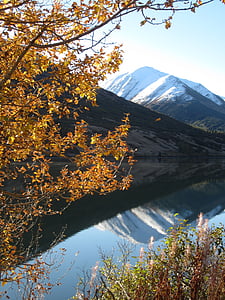 jeseň, Aljaška, reflexie, Mountain, jazero, zasnežené, Summit lake