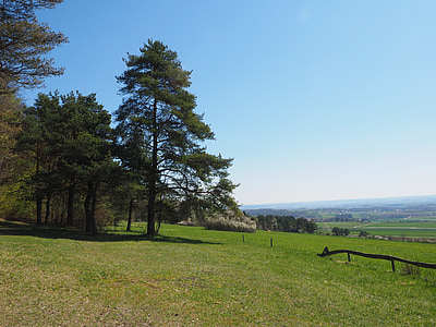 segnalato, campi, Lauterach, Baden württemberg, punto di vista, Valle del Danubio