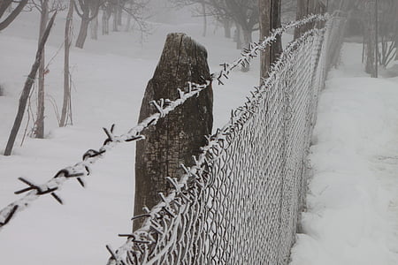 kalla, staket, fryst, järn, vit, Wire, vinter