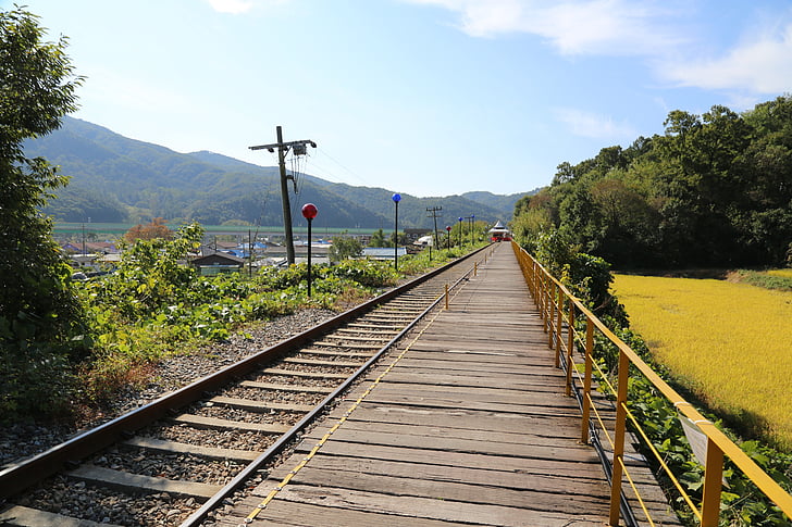 železniške, krajine, države, jeseni, korejski podeželju, železniške proge, vlak