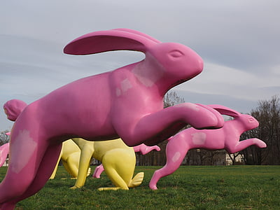 野兔, 跳转, 兔子跳跃, 逃跑, 反弹, 粉色, 图稿