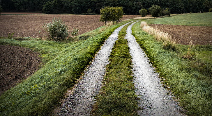 path, field trip, clay, field, meadow, grass, agriculture