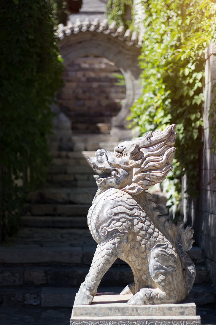 Dragon, Lion, Pierre, sculpture, créatures mythiques, bouddhisme, tête de Dragon