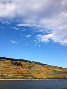 uprawa winorośli, weinterassen, Bingen, Rüdesheim, Renu, Bank, lasu
