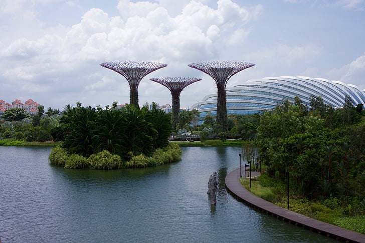 Singapore, hage, Park, Asia, natur, anlegget, hagearbeid