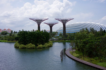Szingapúr, kert, Park, Ázsia, természet, növény, Kertészet