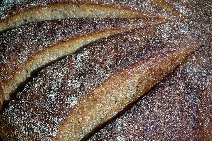 rye bread, food, baking, brown, delicious, paste products, breakfast