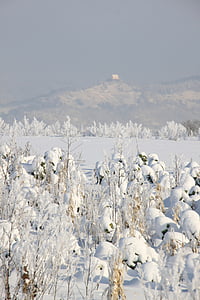 žiemą, sniego, Tiubingeno, rūkas, Friedrich Hölderlin, wurmlingen, Lankytinos vietos