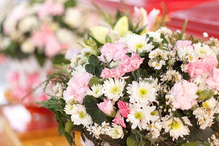 Gerbera kukkia, kukat, kevään, valkoinen, vaaleanpunainen, kirkas, kesällä