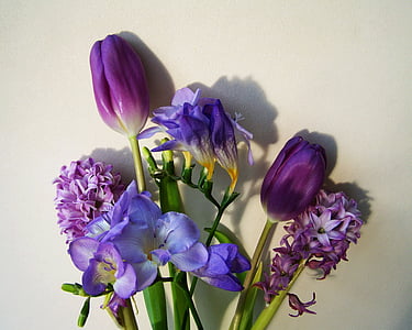 Букет цветов, голубовато фиолетового цвета, срезанный цветок, цветок, фиолетовый, крупным планом, завод