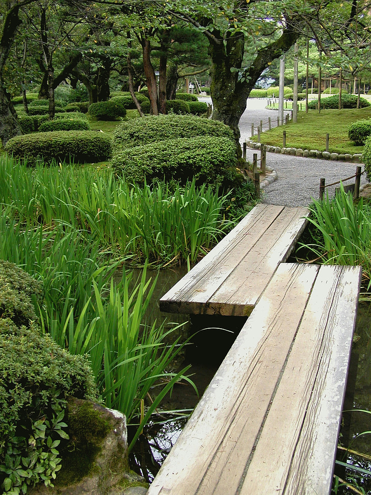 Japan, Kanazawa, Park, trädgård, Bridge, träd