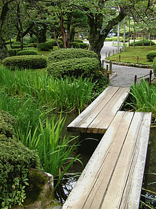 Japāna, Kanazawa, parks, dārza, tilts, koks