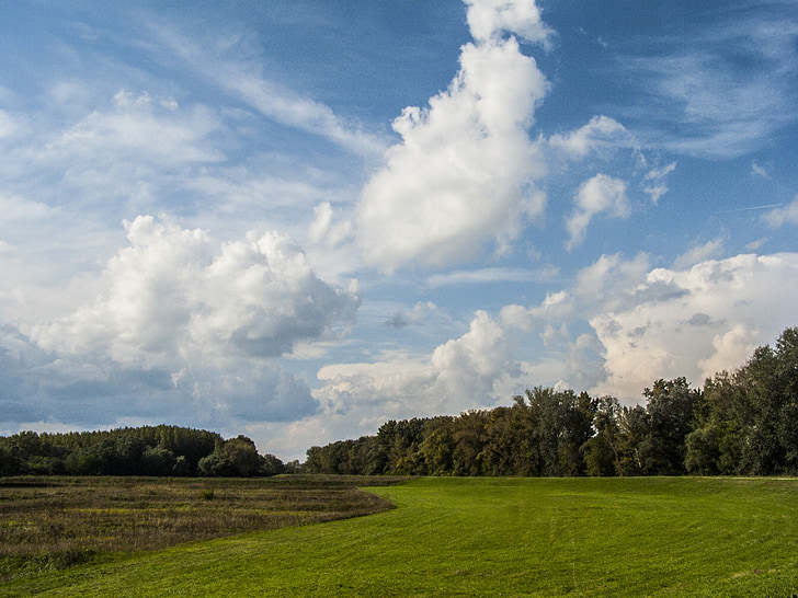 paysage, Meadow, nuageux, nuages, vert