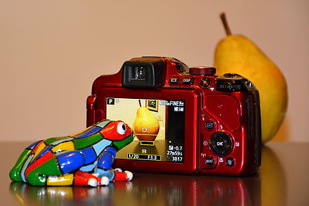 fotograf, rana, fotoaparát, pera, vášeň, fotografia