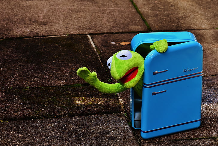 Kermit, żaba, lodówka, śmieszne, retro, zielony, zabawki