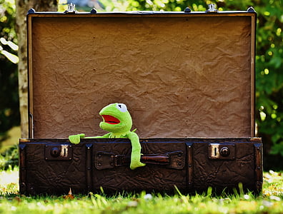 Kermit, Atsisveikinimas, mielas, vaikai, juokingas, mielas, bagažo
